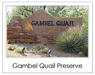 Gambel Quail Preserve Homes For Sale in Desert Mountain Scottsdale AZ